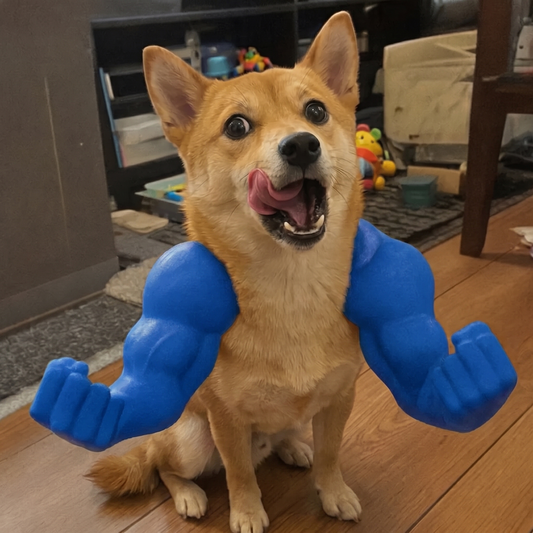 Patikas™ Kaslı Köpek Kolları