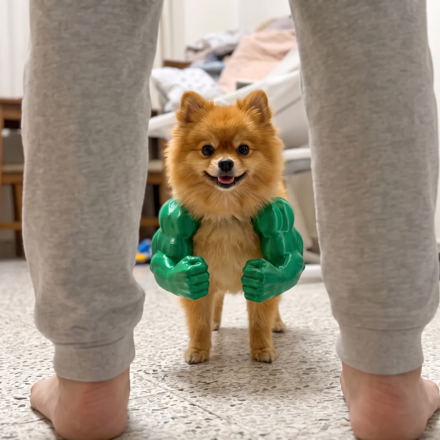 Patikas™ Kaslı Köpek Kolları